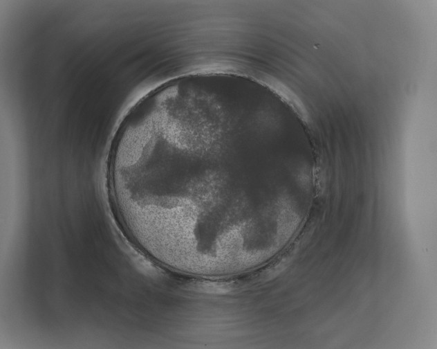 X0000112161086200908211429