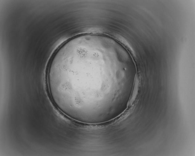 X0000112161087200908211429