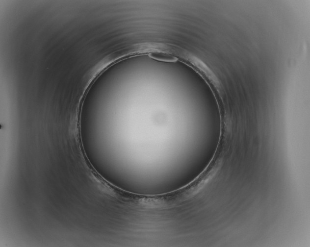 X0000112161089200908211429