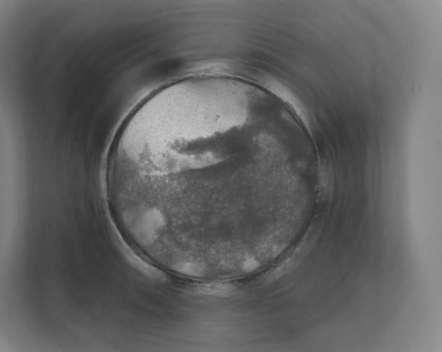X0000112161090200908211429