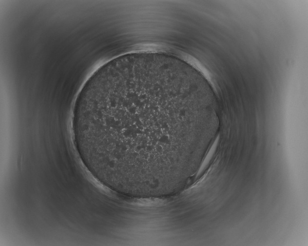 X0000112161091200908211429