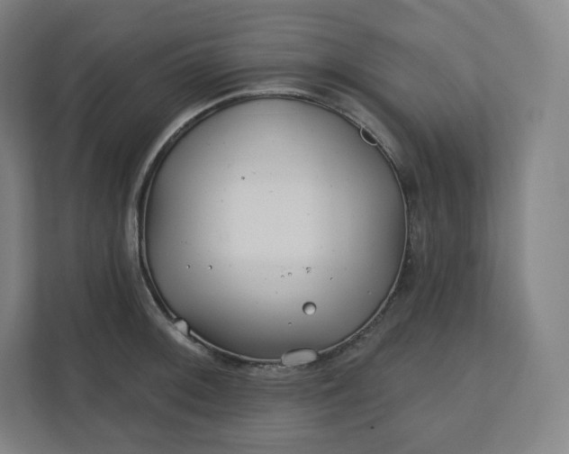 X0000112161092200908211429