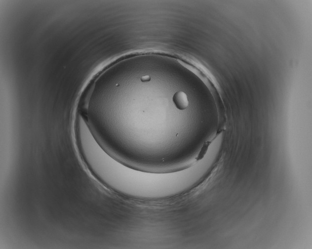X0000112161093200908211429