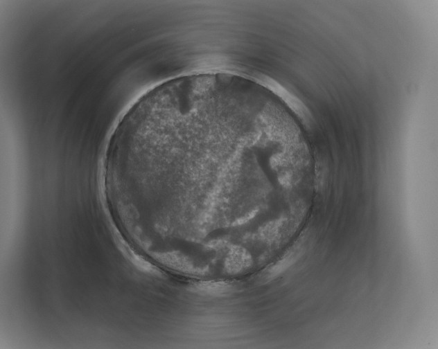 X0000112161094200908211429