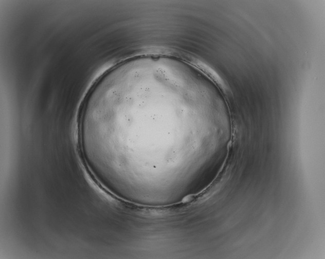 X0000112161095200908211429