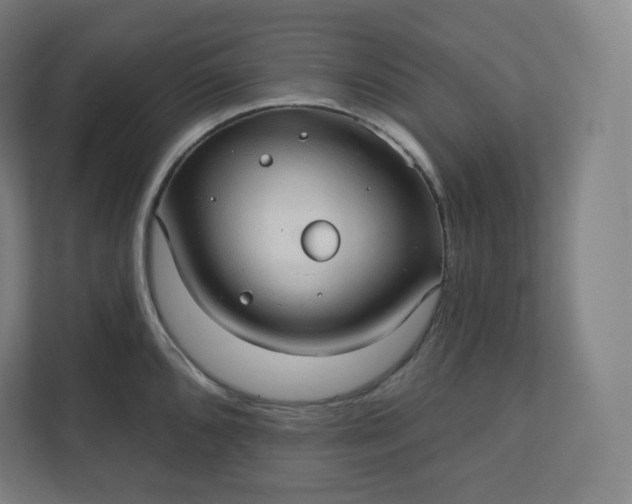 X0000112161096200908211429