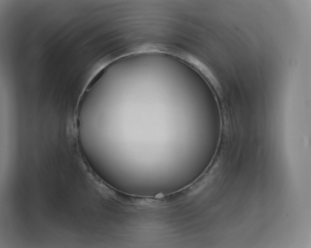 X0000112161097200908211429