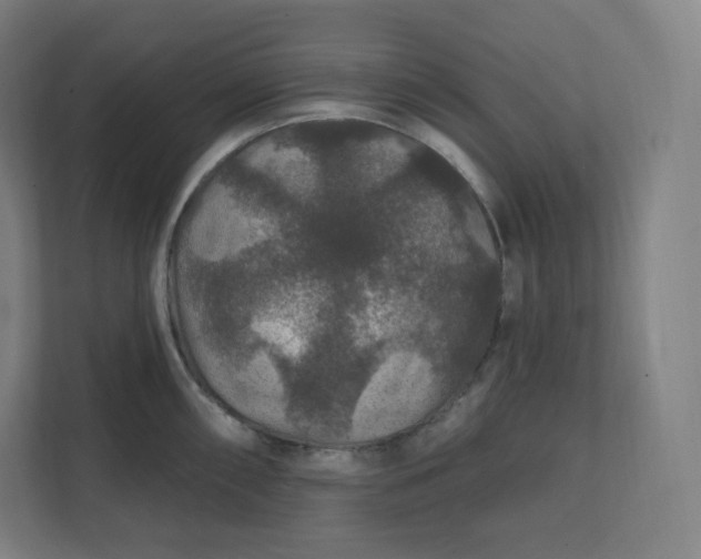 X0000112161098200908211429