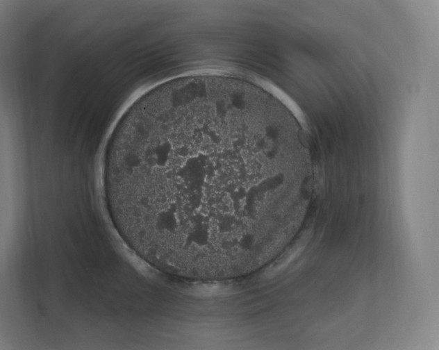 X0000112161099200908211429