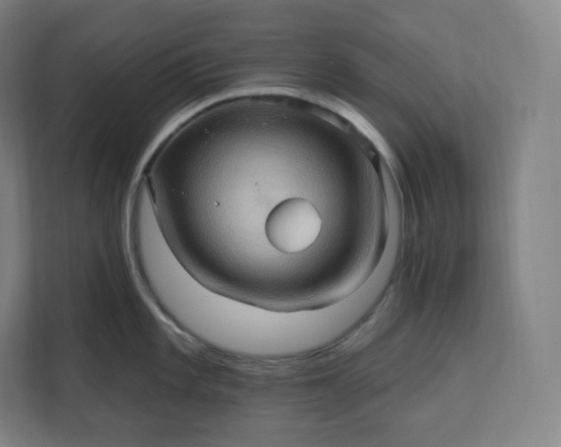 X0000112161101200908211429