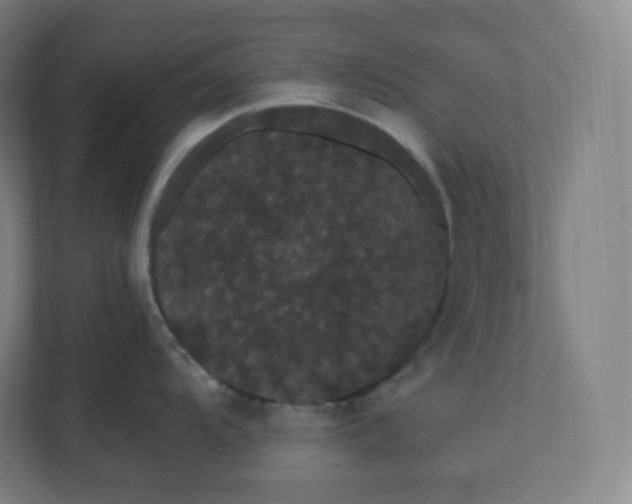 X0000112161104200908211429