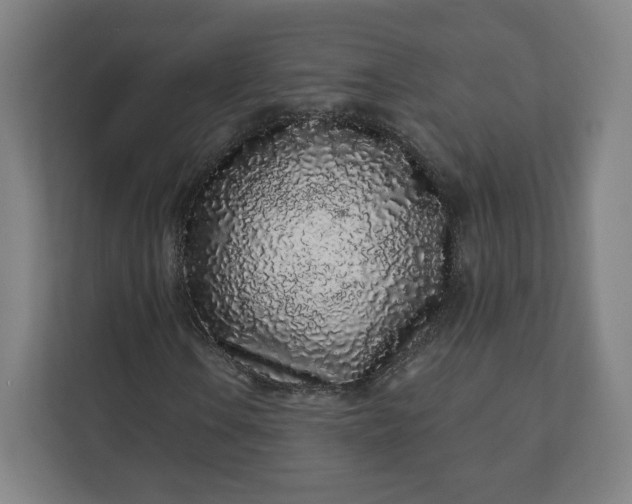 X0000112161106200908211428
