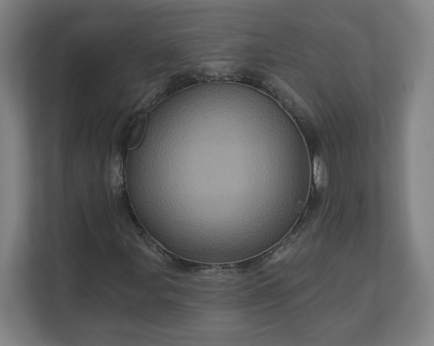 X0000112161107200908211428