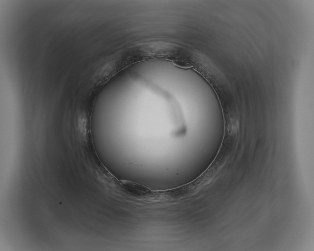 X0000112161108200908211428