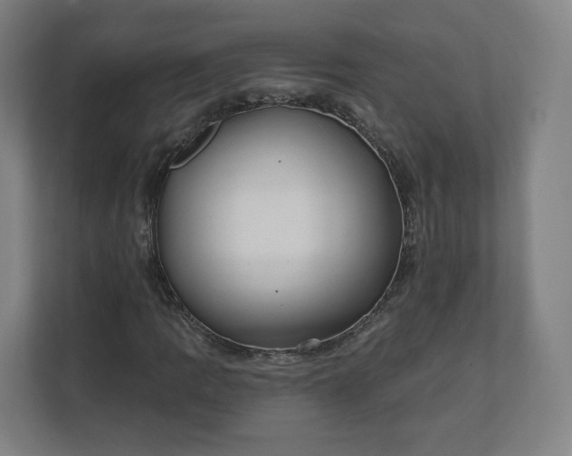 X0000112161109200908211428