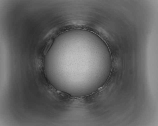 X0000112161110200908211428