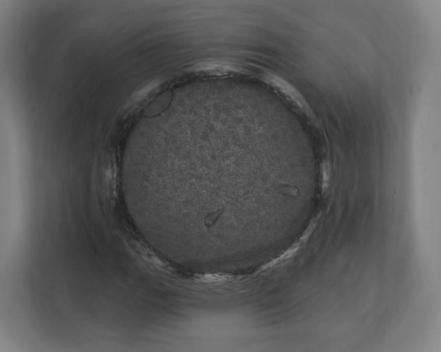 X0000112161111200908211428