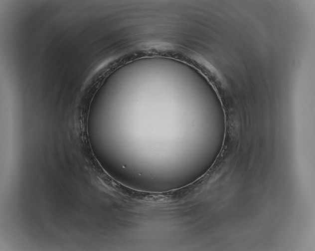 X0000112161112200908211428