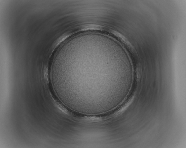 X0000112161113200908211429