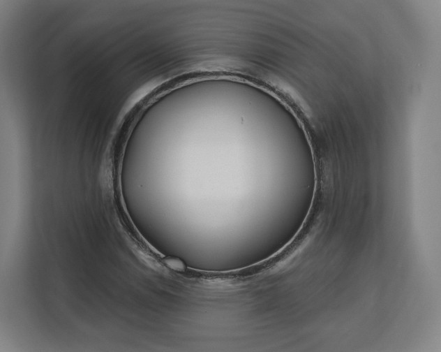 X0000112161114200908211429