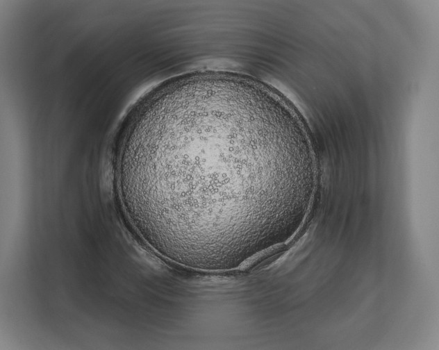 X0000112161115200908211429