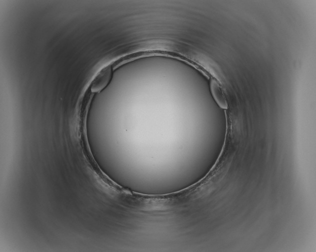 X0000112161116200908211429