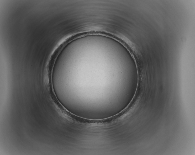 X0000112161118200908211429