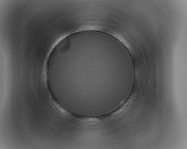 X0000112161119200908211429