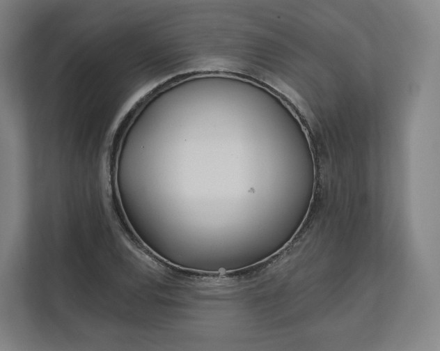X0000112161120200908211429