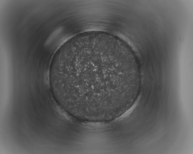 X0000112161121200908211429