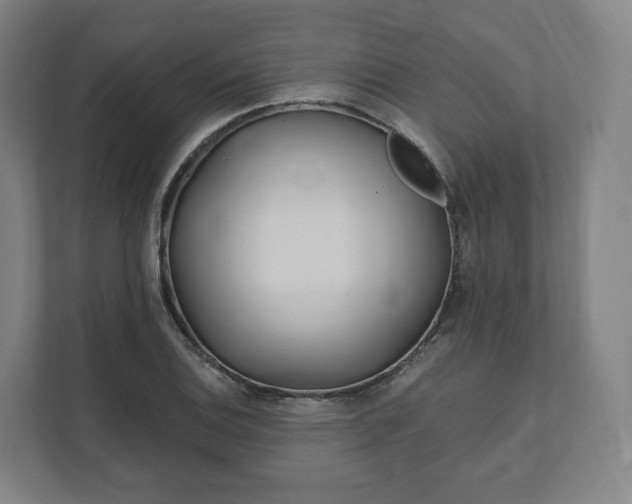 X0000112161124200908211429