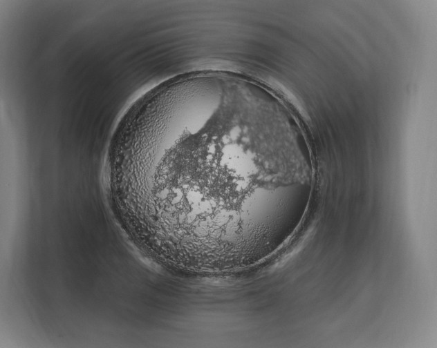 X0000112161125200908211429