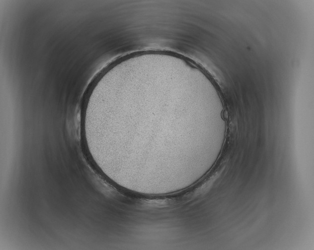 X0000112161126200908211429