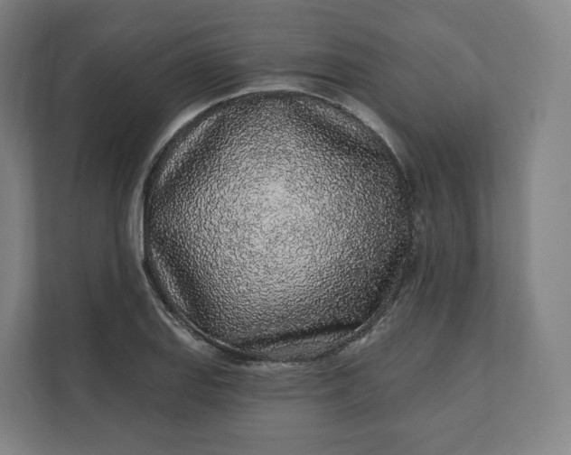 X0000112161127200908211429
