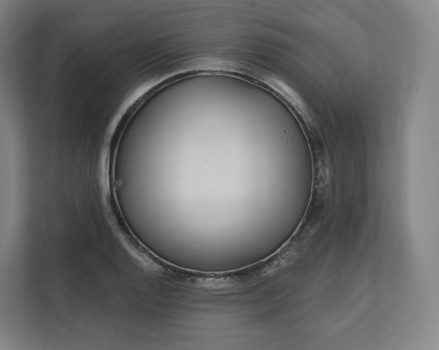 X0000112161128200908211429