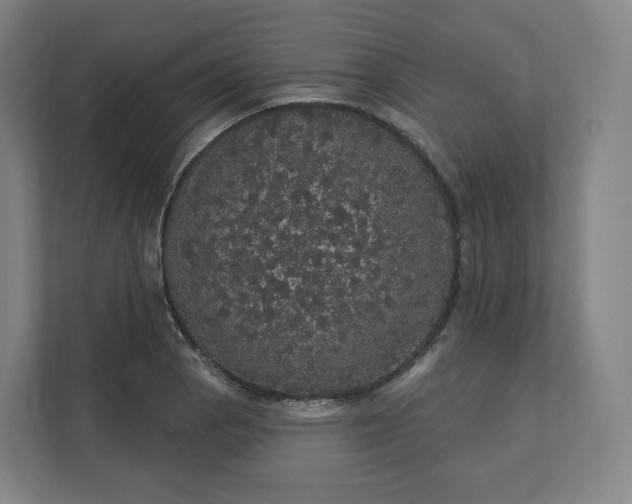 X0000112161129200908211429