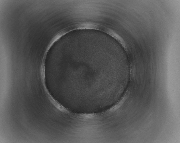 X0000112161130200908211429