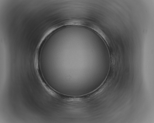 X0000112161131200908211429