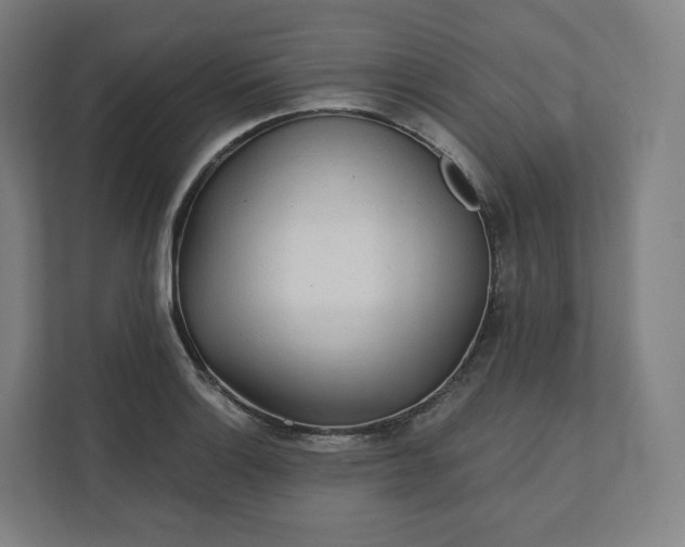 X0000112161132200908211429