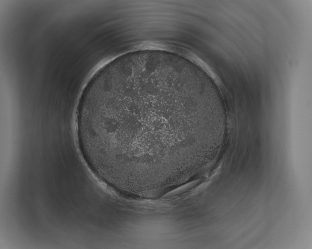 X0000112161133200908211429