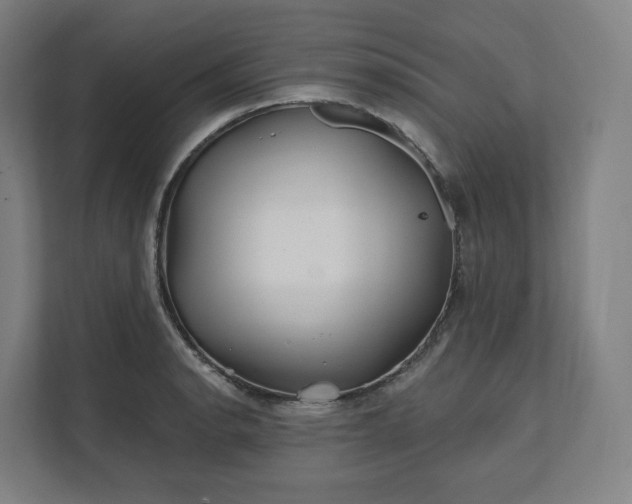 X0000112161134200908211429
