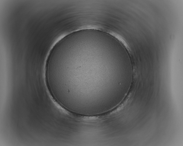 X0000112161135200908211429