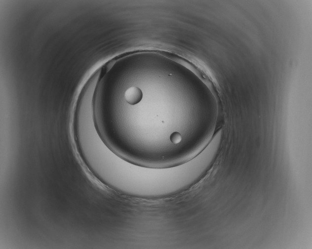X0000112161136200908211429