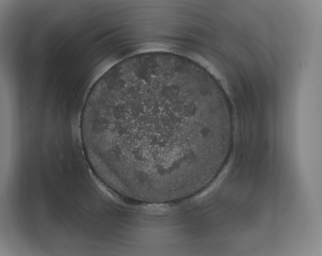 X0000112161137200908211429