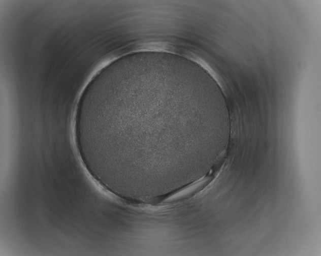 X0000112161139200908211429