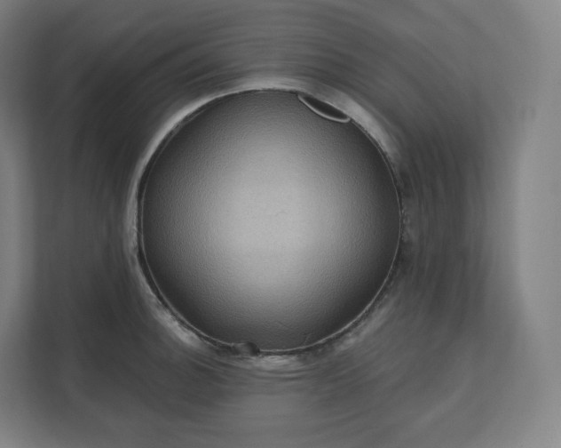X0000112161140200908211429