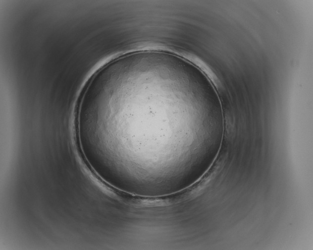X0000112161142200908211429