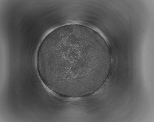 X0000112161143200908211429