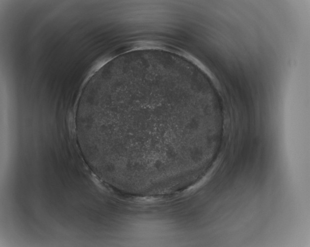 X0000112161145200908211429
