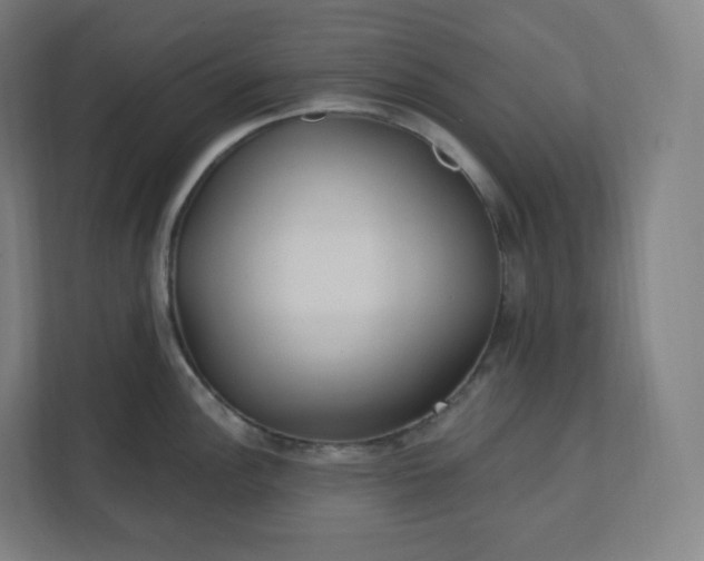 X0000112161148200908211429